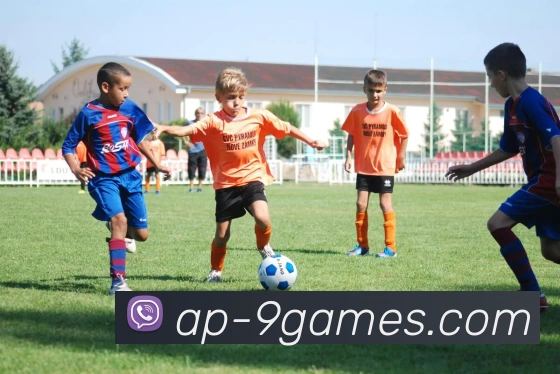 多媒体互动体验